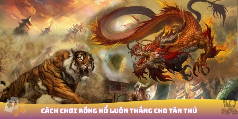 Chiến thuật chơi rồng hổ