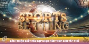Cách nhận biết kèo bịp